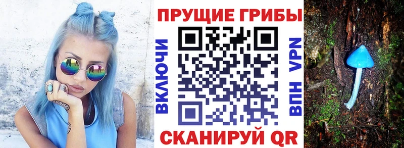 Псилоцибиновые грибы GOLDEN TEACHER  Узловая 